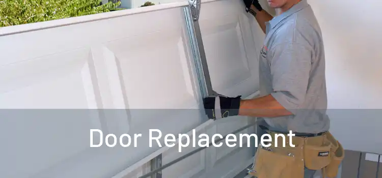  Door Replacement 