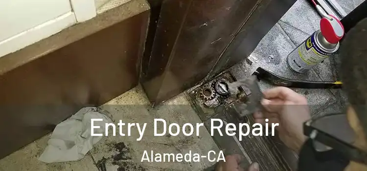  Entry Door Repair Alameda-CA