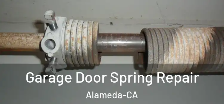  Garage Door Spring Repair Alameda-CA